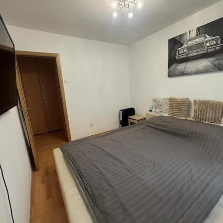 Sabera Nest *