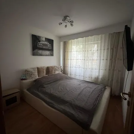 Sabera Nest *